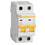 Автоматический выключатель ВА47-29 2Р 10А 4,5кА характеристика С ИЭК (автомат)